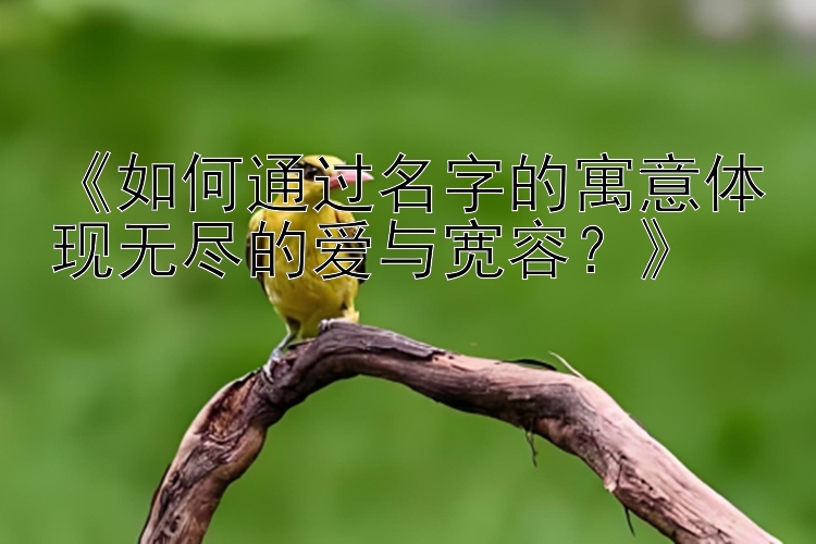 《如何通过名字的寓意体现无尽的爱与宽容？》