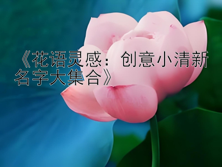 《花语灵感：创意小清新名字大集合》