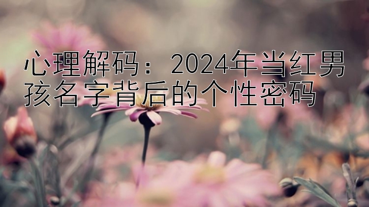 心理解码：2024年当红男孩名字背后的个性密码