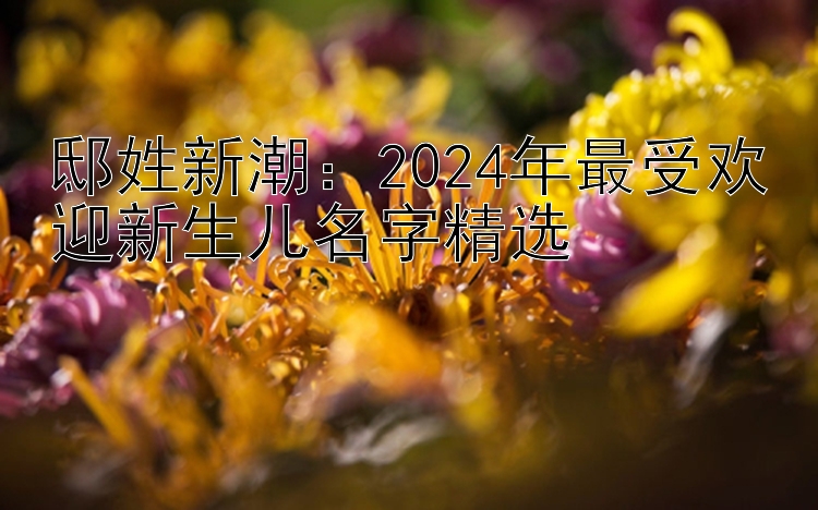 邸姓新潮：2024年最受欢迎新生儿名字精选