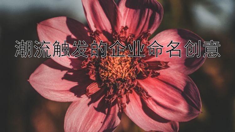 潮流触发的企业命名创意