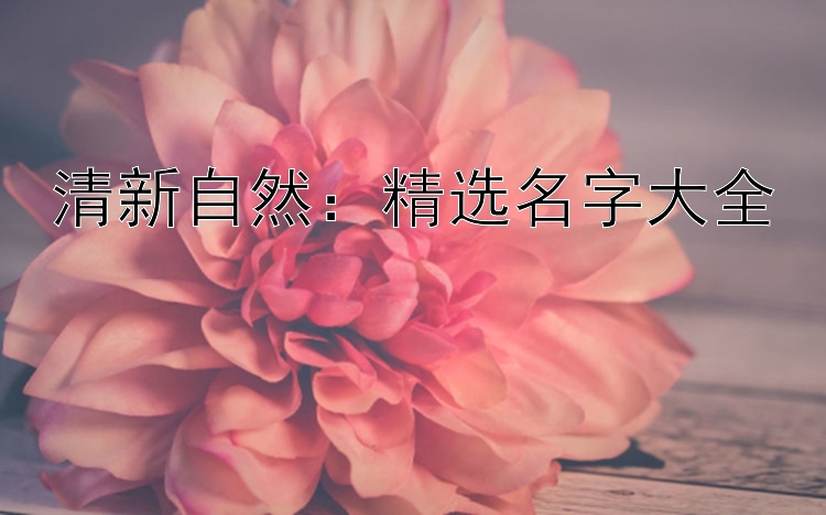 清新自然：精选名字大全