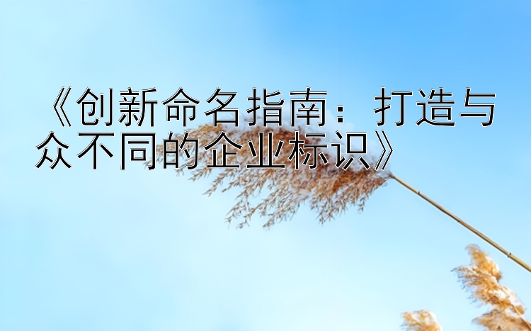 《创新命名指南：打造与众不同的企业标识》