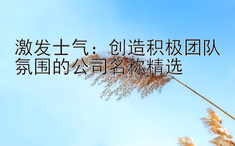 激发士气：创造积极团队氛围的公司名称精选