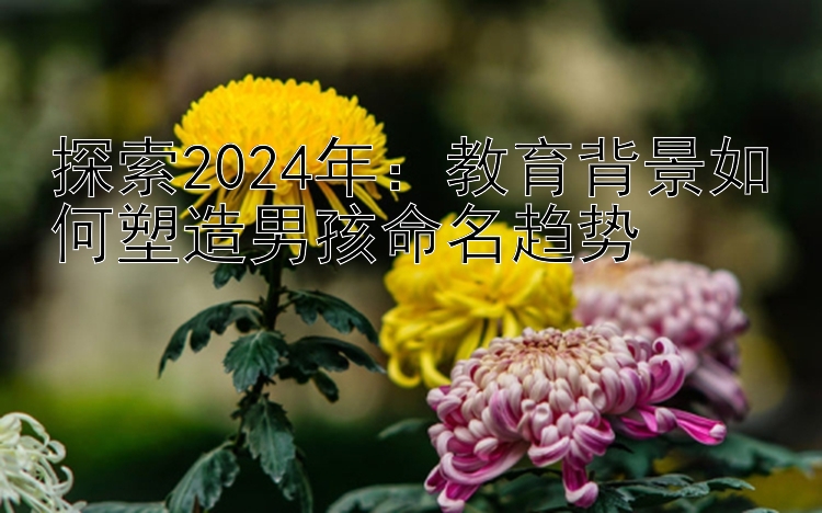 探索2024年：教育背景如何塑造男孩命名趋势