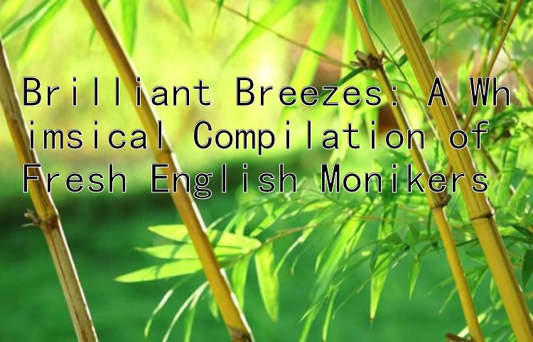 吉林快三如何判断大小单双    Brilliant Breezes: A Whimsical Compilation of Fresh English Monikers