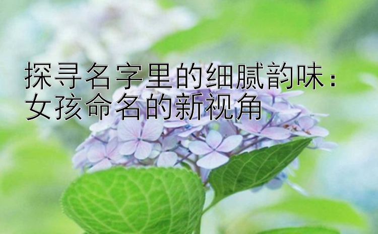 探寻名字里的细腻韵味：女孩命名的新视角