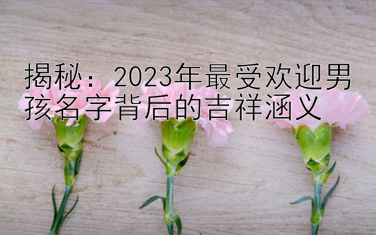 揭秘：2023年最受欢迎男孩名字背后的吉祥涵义