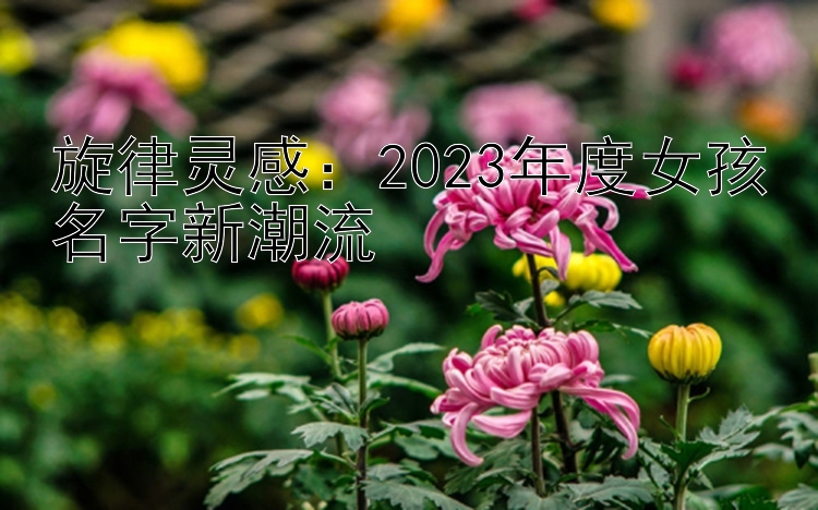 旋律灵感：2023年度女孩名字新潮流