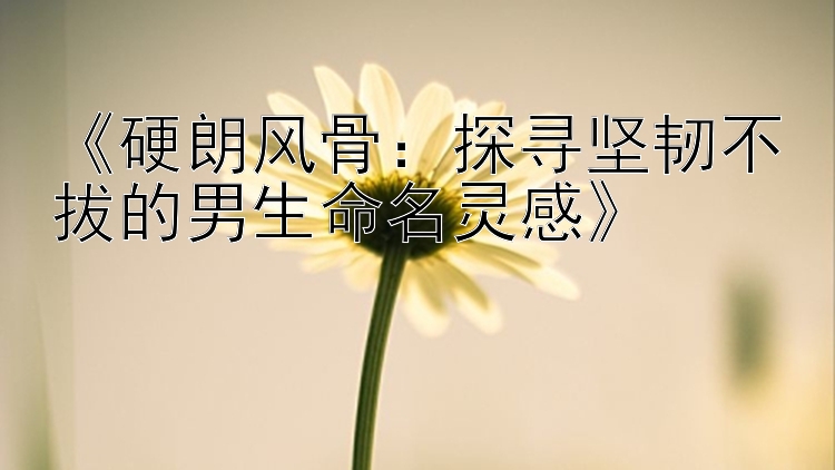 《硬朗风骨：探寻坚韧不拔的男生命名灵感》