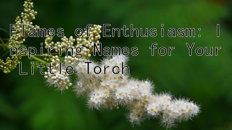 Flames of Enthusiasm: Inspiring Names for Your Little Torch