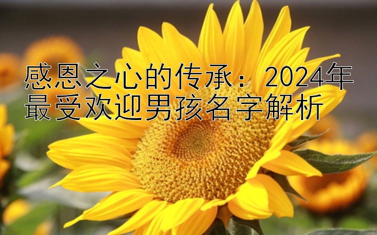 感恩之心的传承：2024年最受欢迎男孩名字解析