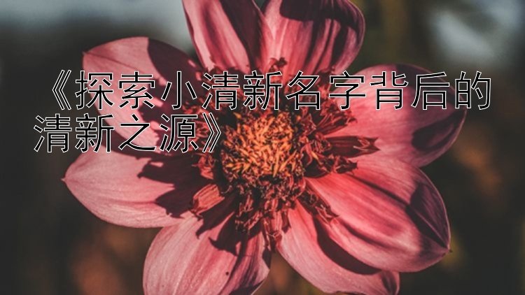 《探索小清新名字背后的清新之源》