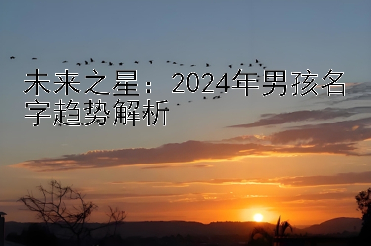 未来之星：2024年男孩名字趋势解析