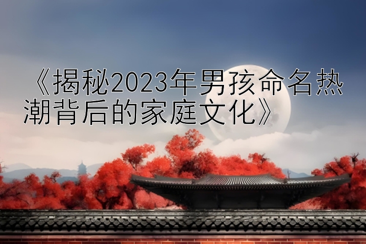 《揭秘2023年男孩命名热潮背后的家庭文化》