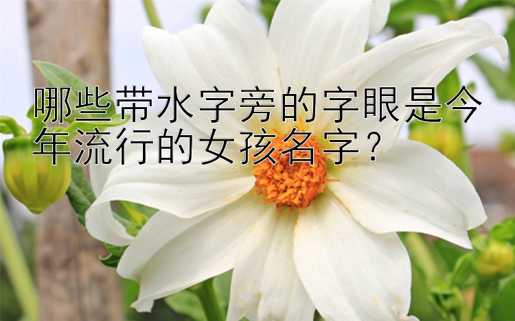 哪些带水字旁的字眼是今年流行的女孩名字？