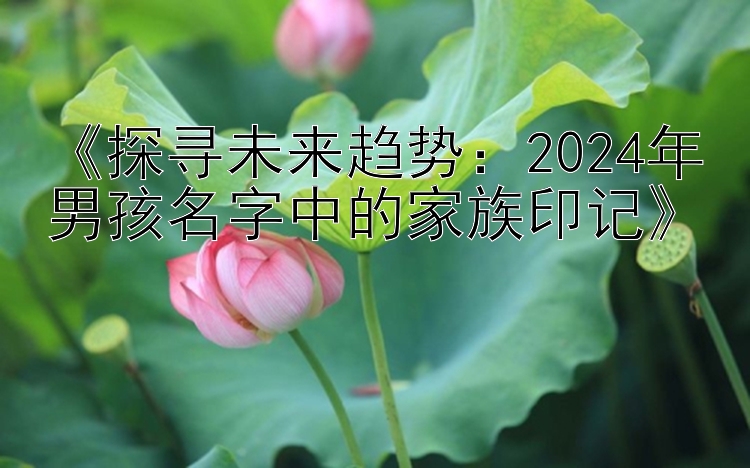 《探寻未来趋势：2024年男孩名字中的家族印记》