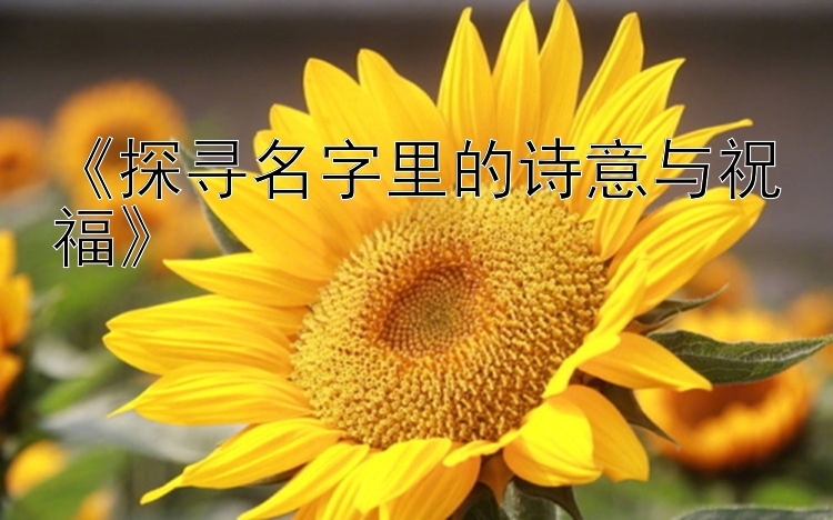 《探寻名字里的诗意与祝福》