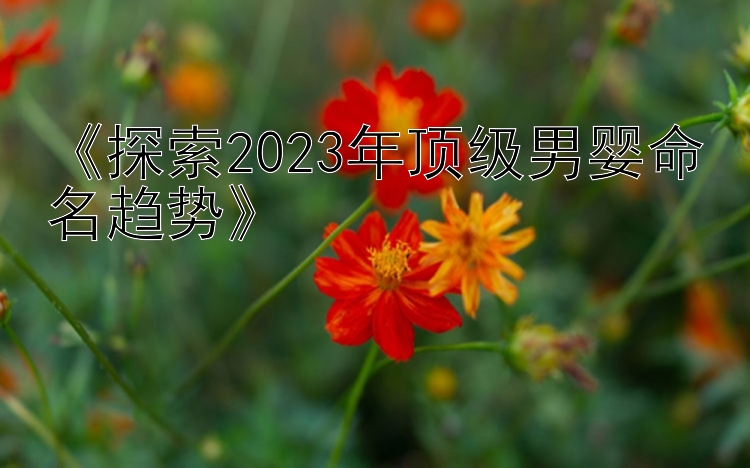 《探索2023年顶级男婴命名趋势》