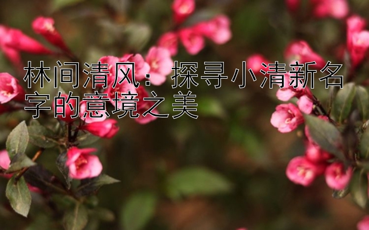 林间清风：探寻小清新名字的意境之美