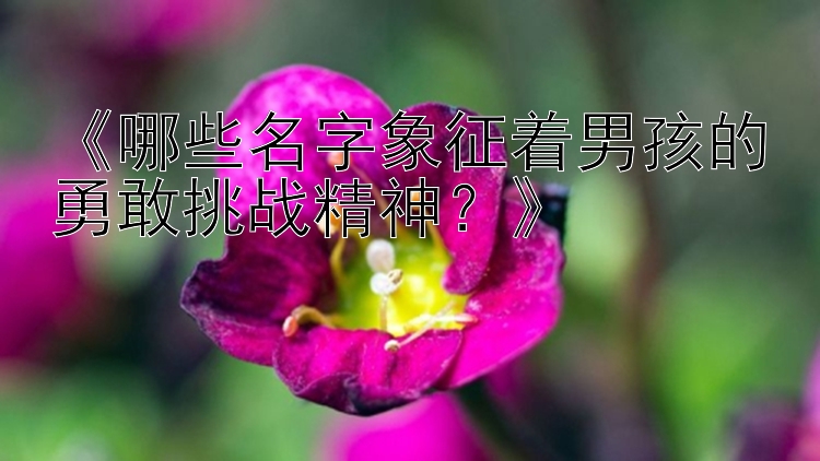 《哪些名字象征着男孩的勇敢挑战精神？》