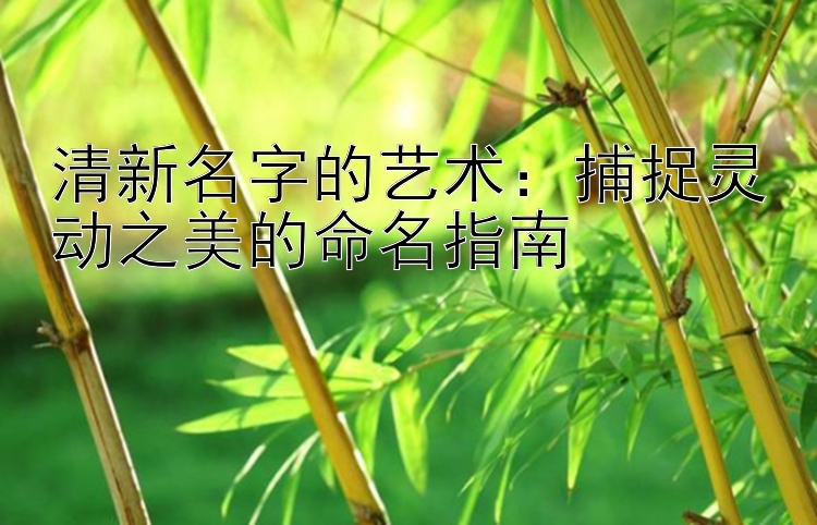 清新名字的艺术：捕捉灵动之美的命名指南