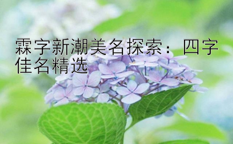 霖字新潮美名探索：四字佳名精选