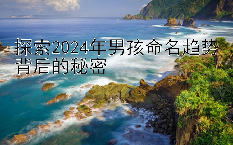 探索2024年男孩命名趋势背后的秘密