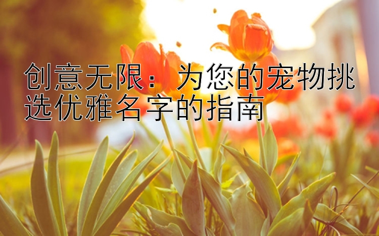 创意无限：为您的宠物挑选优雅名字的指南