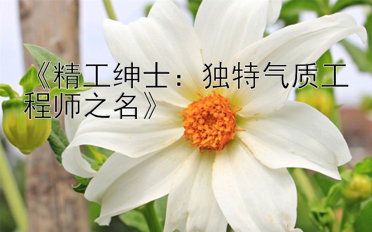 《精工绅士：独特气质工程师之名》