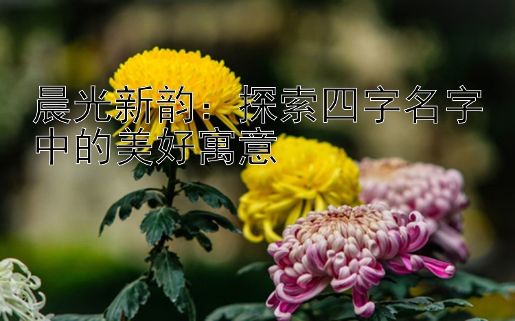 晨光新韵：探索四字名字中的美好寓意