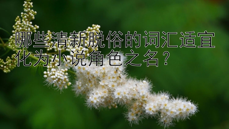 哪些清新脱俗的词汇适宜化为小说角色之名？