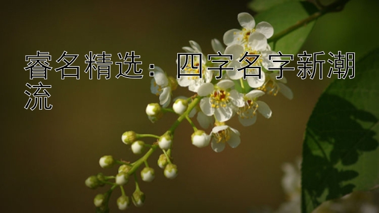 睿名精选：四字名字新潮流