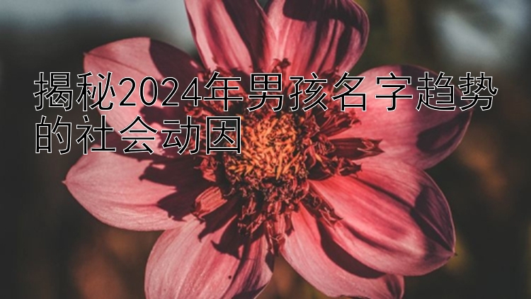 揭秘2024年男孩名字趋势的社会动因