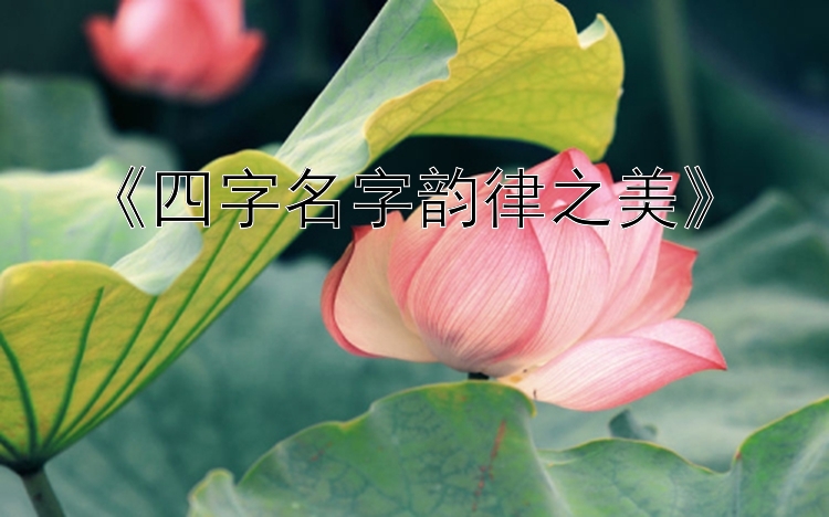 《四字名字韵律之美》