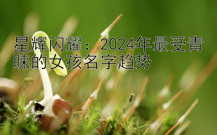 星辉闪耀：2024年最受青睐的女孩名字趋势