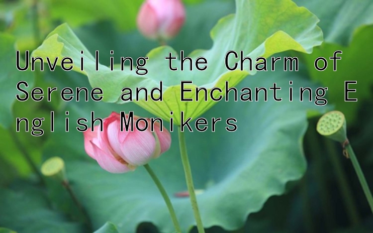 Unveiling the Charm of Serene and Enchanting English Monikers