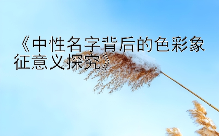 《中性名字背后的色彩象征意义探究》