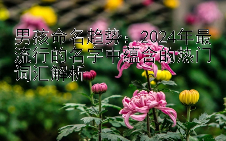 男孩命名趋势：2024年最流行的名字中蕴含的热门词汇解析