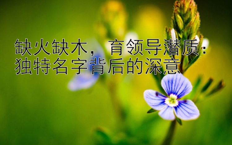 缺火缺木，育领导潜质：独特名字背后的深意