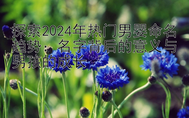 探索2024年热门男婴命名趋势：名字背后的意义与男孩的成长