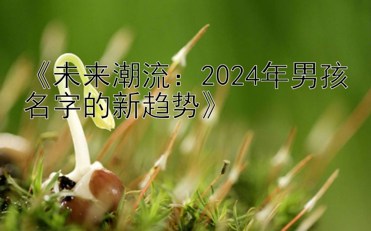 《未来潮流：2024年男孩名字的新趋势》