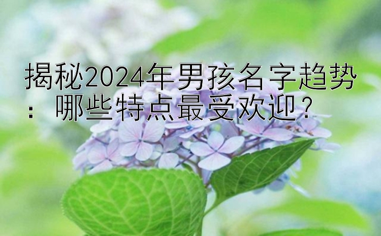 揭秘2024年男孩名字趋势：哪些特点最受欢迎？