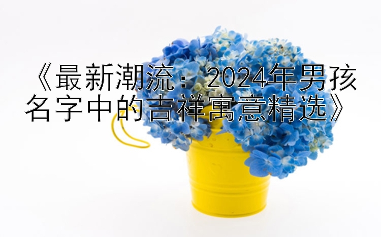 《最新潮流：2024年男孩名字中的吉祥寓意精选》