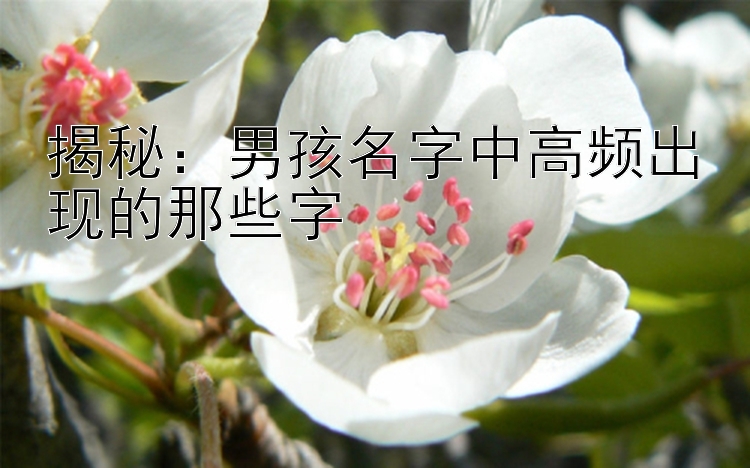 揭秘：男孩名字中高频出现的那些字