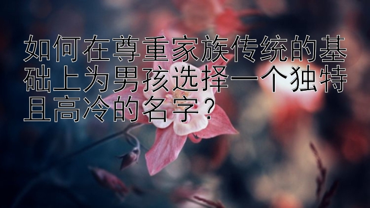 如何在尊重家族传统的基础上为男孩选择一个独特且高冷的名字？