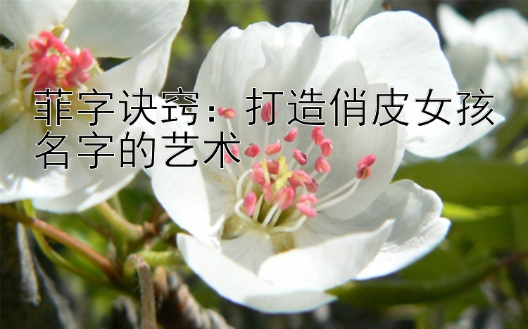 菲字诀窍：打造俏皮女孩名字的艺术