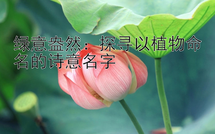 绿意盎然：探寻以植物命名的诗意名字