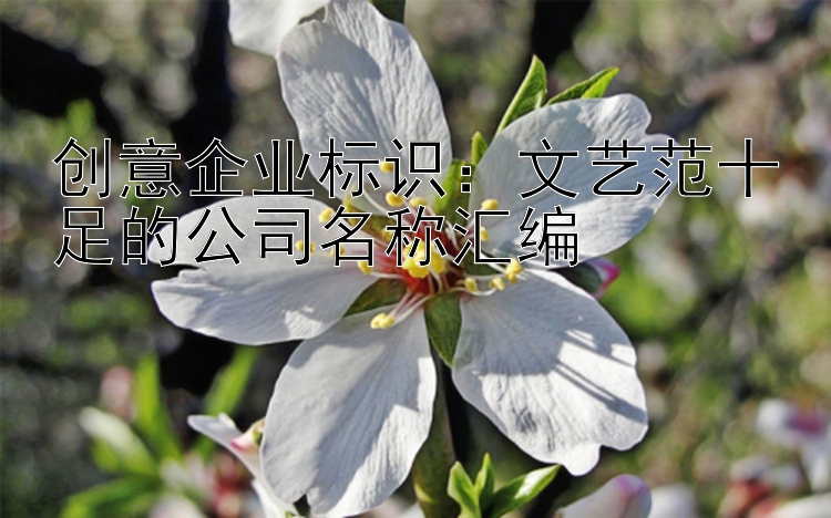 创意企业标识：文艺范十足的公司名称汇编