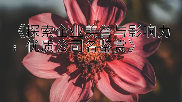 《探索企业美誉与影响力：优质公司名鉴赏》